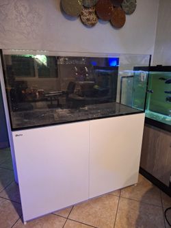 Fish Tank