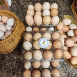 Fresh Organic Eggs 