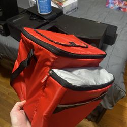 Thermos Insulated Cooler Bag – Dual Compartment – Red