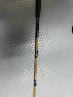 New Heavy duty ugly stick 30-60lb conventional rod