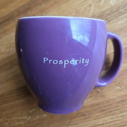 Rare Starbucks Mug
