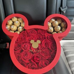 Mickey Mouse Ears