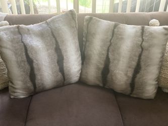 2 Throw Pillows