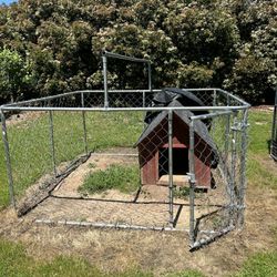 Dog Kennel 