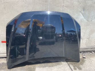 2015-2020 Ford f150 hood oem