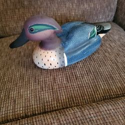 Greenwing Teal Drake