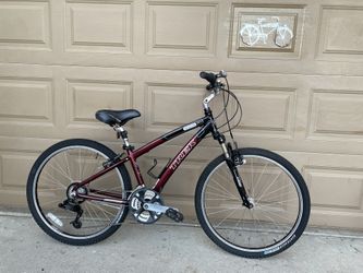 Track mountain bike