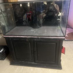 Fish Tank 