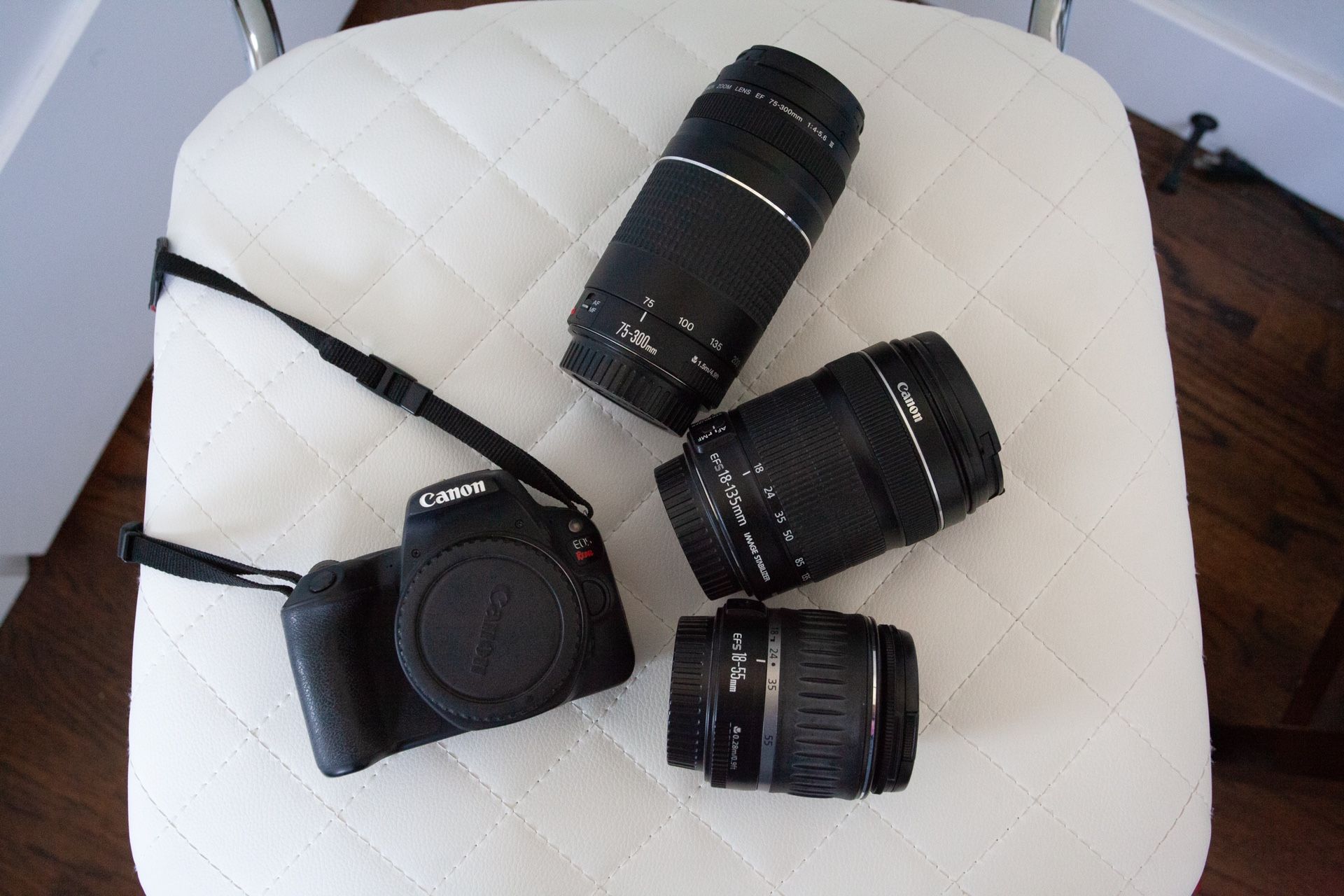 Canon EOS SL2 DSLR Camera 3 Lens Bundle for Sale in Walnut Creek, CA