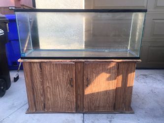 Fish Tank Or Aquarium