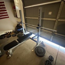 Bench Press With Olympic Barbell