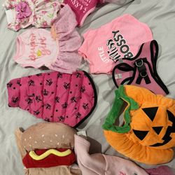 Dog Clothes Bundle