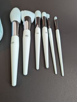 Make Up Brushes And Bag
