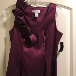 Mulberry Colored Top, Size 10P