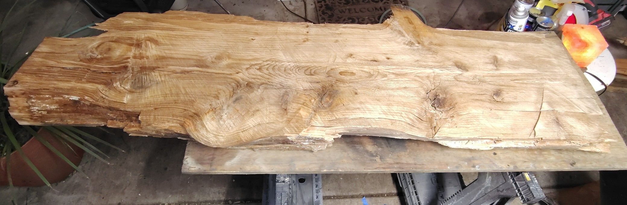 Blank Wood Slab For Art Signs