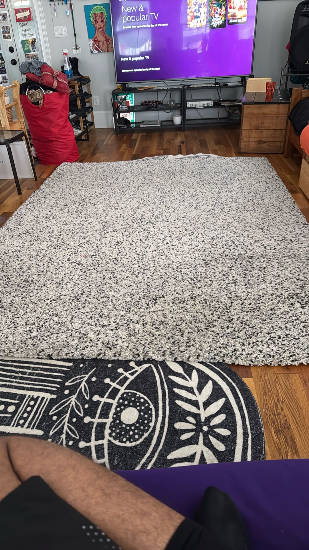 Free Beige/Off white area rug!