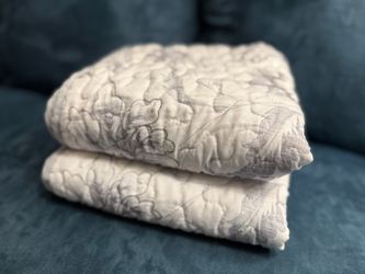 2 king size pillow shams- new, never used