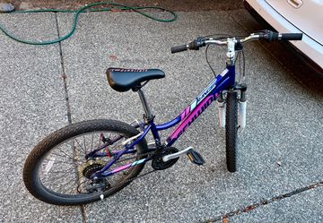 Schwinn 24” mountain bike 21 speed