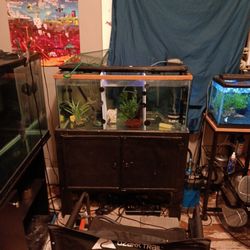 Fish Tank 40 Gal Read Description 