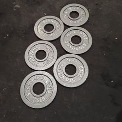 Spare 2.5lb Olympic Weight Plates 