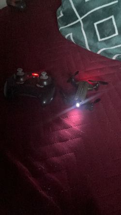The beetle drone