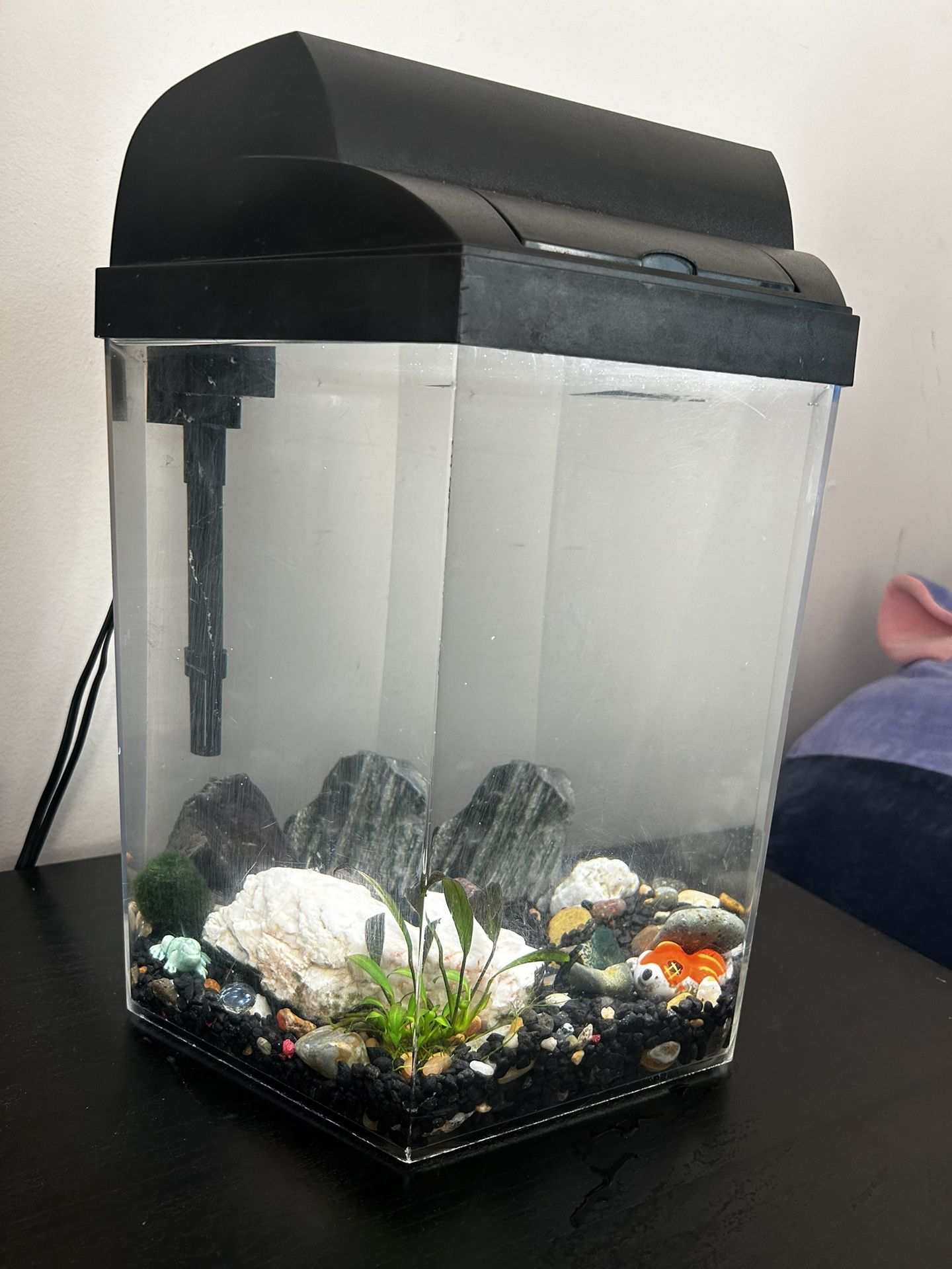 5 Gallon Fish Tank