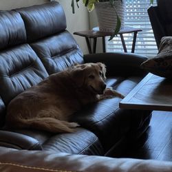 Ashley Leather Sofa, Loveseat, and Chair