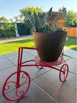Suculenta en Bicicleta Decorativa – Un Toque Único para tu Hogar