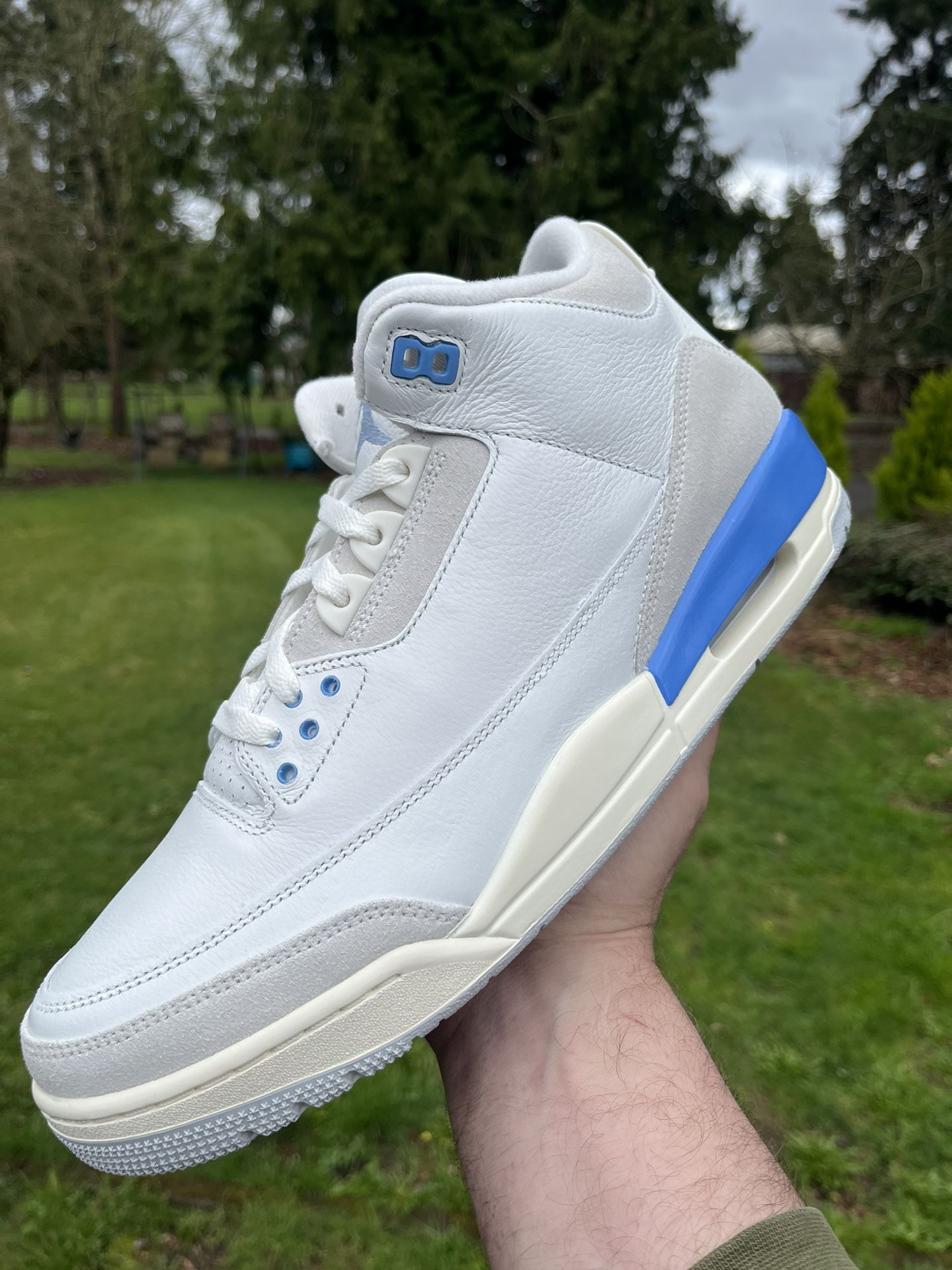 Jordan 3 Lucky Shorts