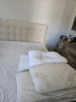 King Size Mattress And Box Spring 100 Bucks