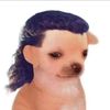 David