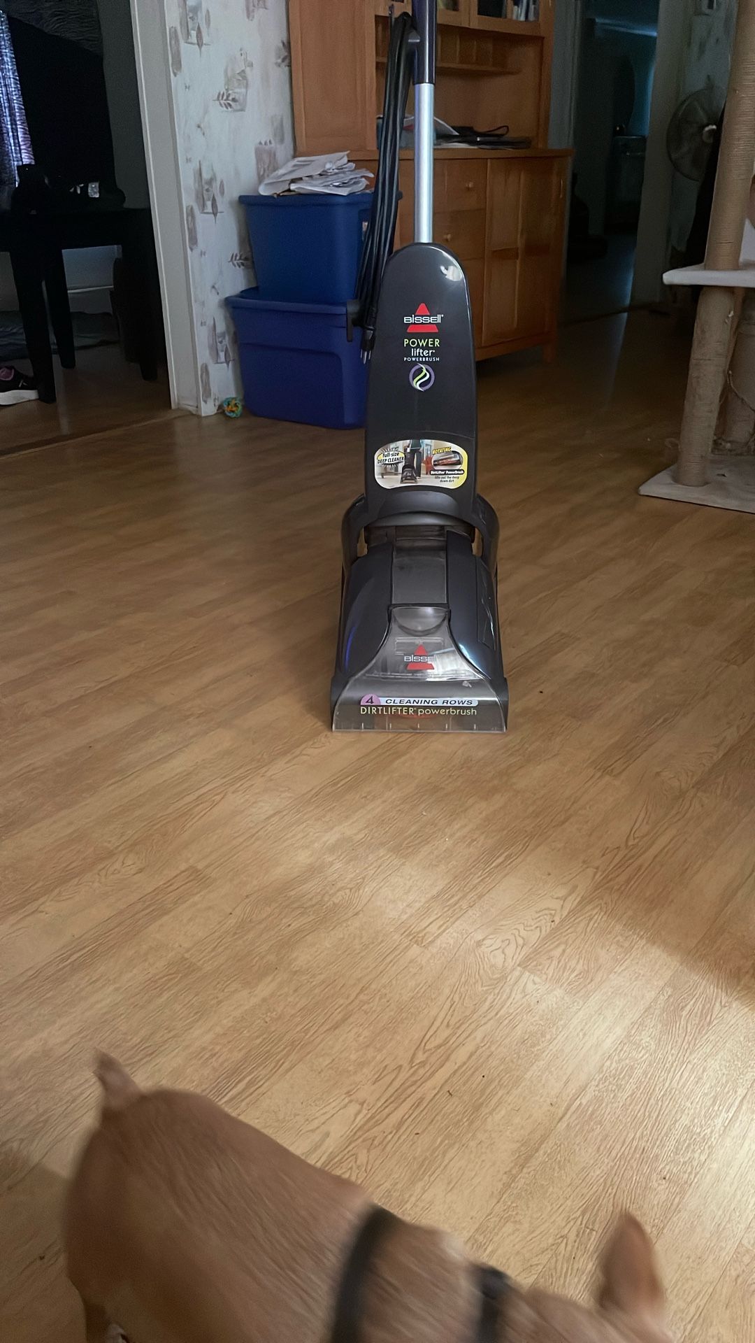 Bissell Power Lifter Carpet Cleaner