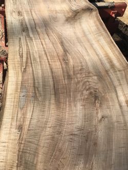 Curly maple live edge slabs