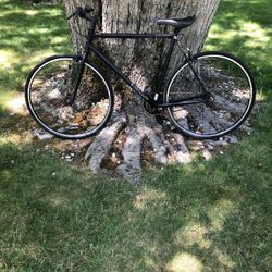 28” Haro Street Bike Single Speed 