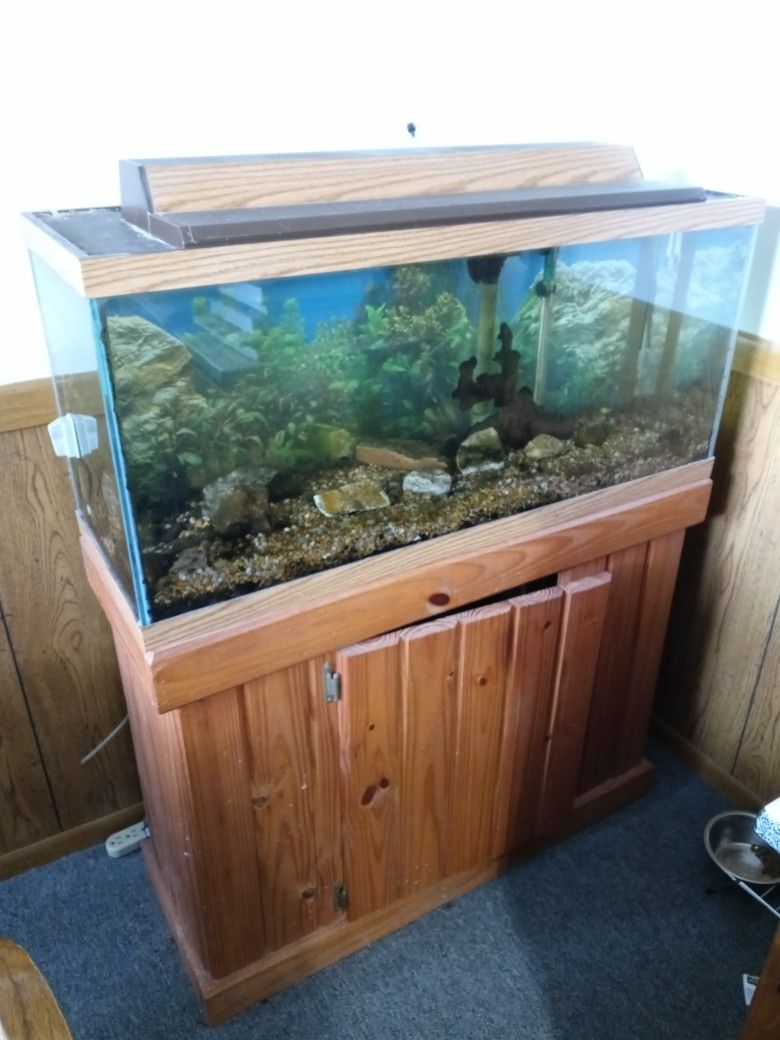 30 Gallon Fish Tank And Stand Plus Much More