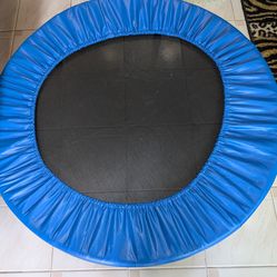 Bungee rebounder