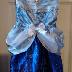 Cinderella Costume Sz 3-4T