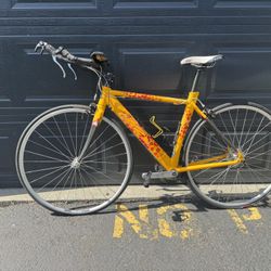 Woman Tri-Bike 