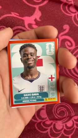 FIFA World Cup panini sticker