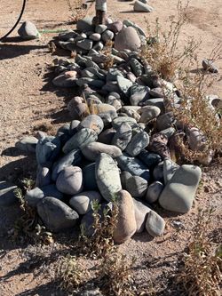 Free River Rocks