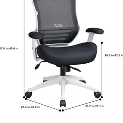 Office Chair (BOLISS)
