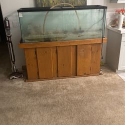 100 Gallon Fish Tank