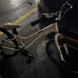 Bicycle From Trek Store 
