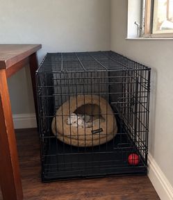 Large Black Wire Dog Crate