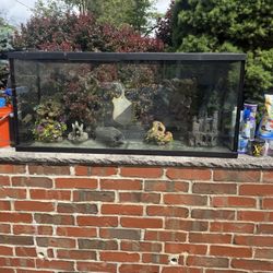 Fish tank & all accessories