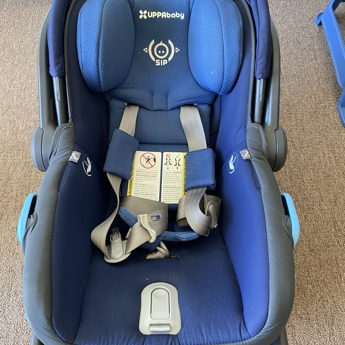 Uppababy mesa top car seat used