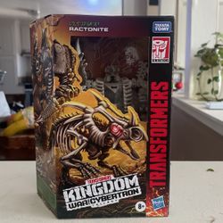 ractonite transformers