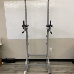 Pull Up and Dips Station