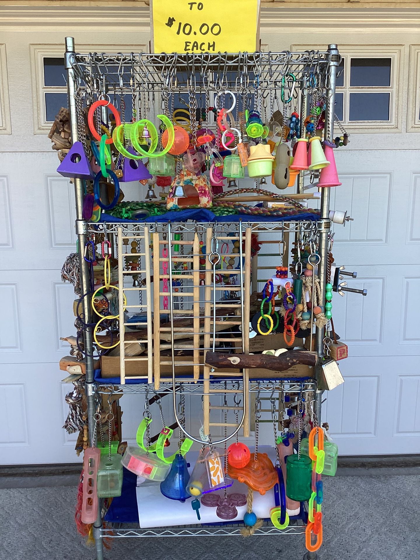 Bird / Parrot / Toys