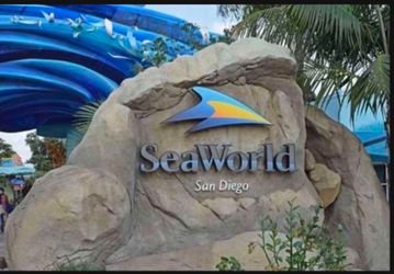 SEA WORLD TICKETS 